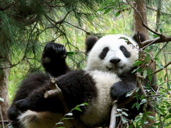 online_ua-tdz676z5ml