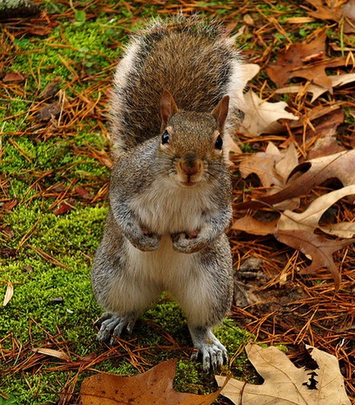 online_ua-k7ecmnx3bb