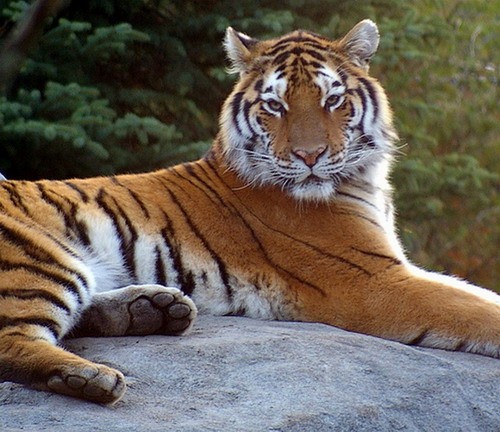 online_ua-0c20jkji9i