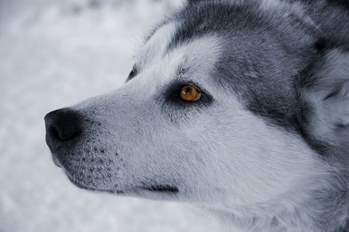 online_ua-7c4j21ig8l