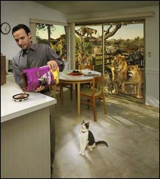 d6d321cf8c2812930ce77a945cafc84c