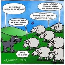 125391348_372258827377246_8457291128094302102_n