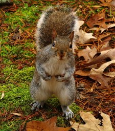 online_ua-k7ecmnx3bb