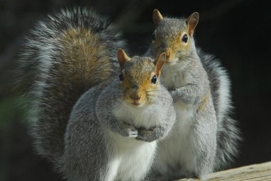 online_ua-ao7vmm9k7n