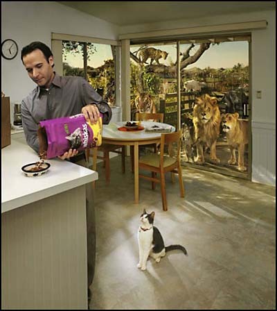 d6d321cf8c2812930ce77a945cafc84c